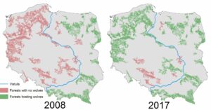 Wolf range in Poland: comparison between 20th-century low point and current recovery
