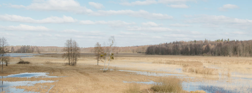 Narewka_river_valley_header