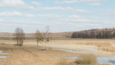 When to visit? The climate of Białowieża Forest