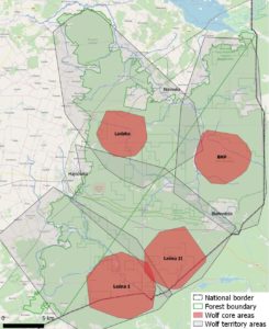 the four wolf pack territories in Białowieża Forest