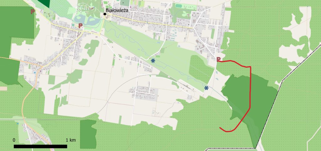 wysokie bagno map