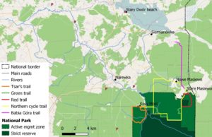 north_Białowieża_Forest