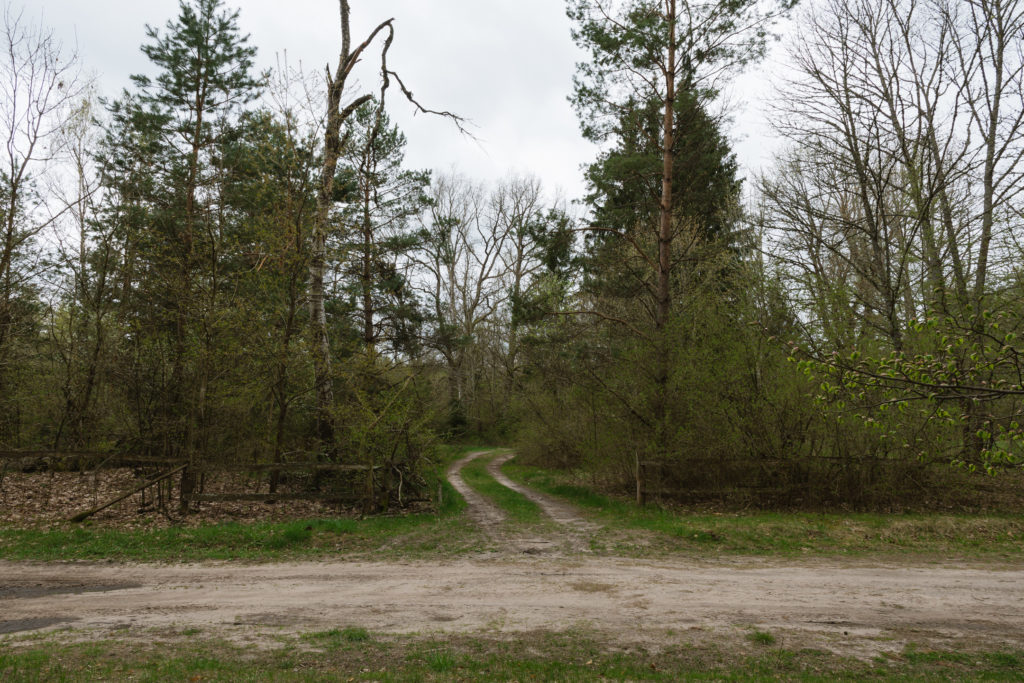 Jodłówka entrance