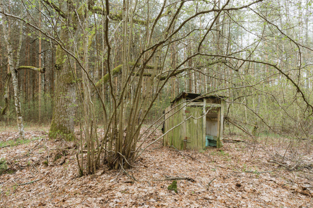 Jodłówka outdoor toilet