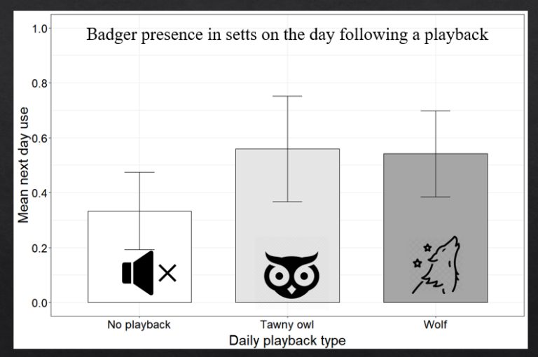 Our new paper: Badgers remain fearless in the face of simulated wolf ...