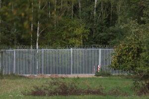 Guided walk in Białowieża Forest old-growth zone with ecologist Tom Diserens