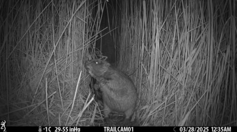 WhatsApp Image 2025-04-11 at 14.04.04_e4b7268f