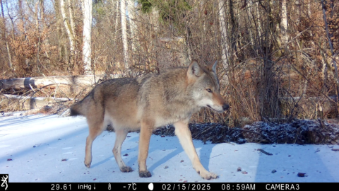 vlcsnap-2025-09-09-17h32m23s454