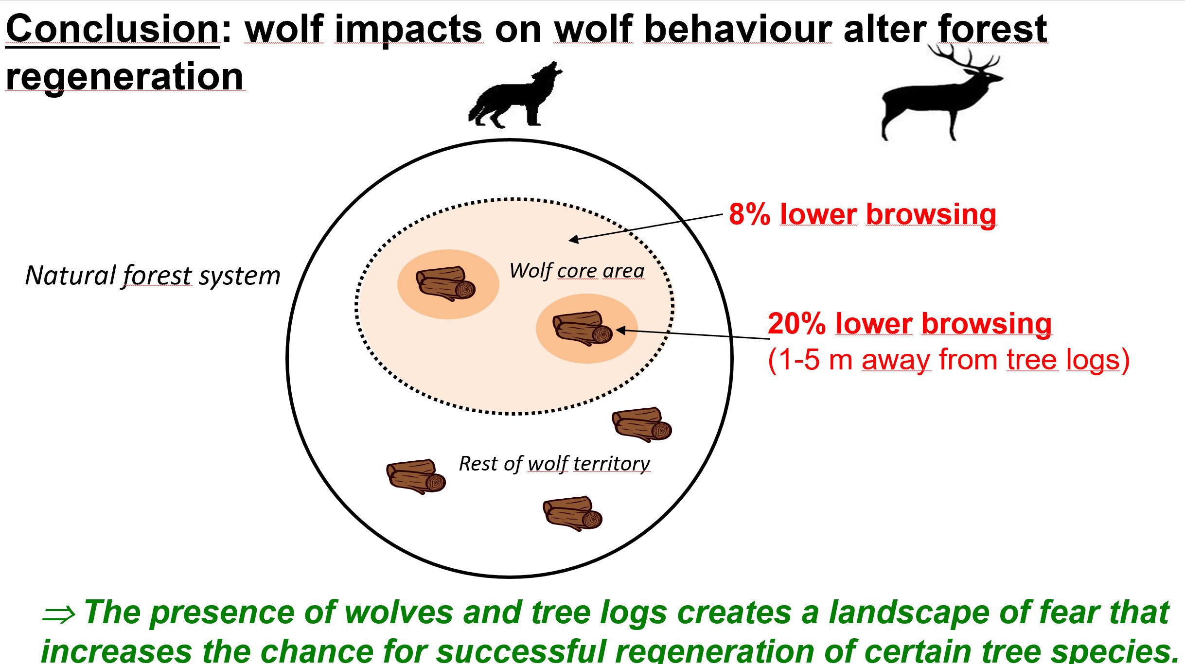 Diagram showing 8% and 20% reductions in browsing intensity in wolf core areas and near fallen logs